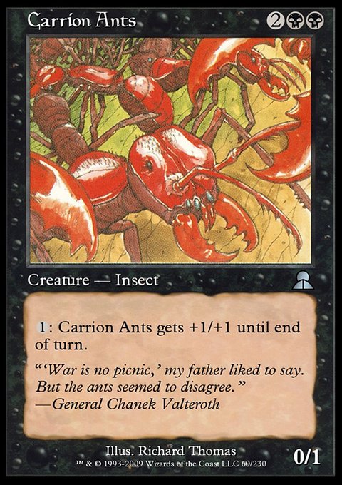 Carrion Ants